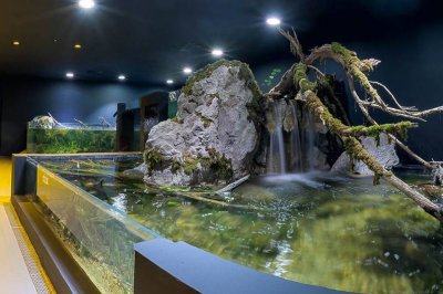 Navštivte jedinečné sladkovodní akvárium ve městě Karlovac