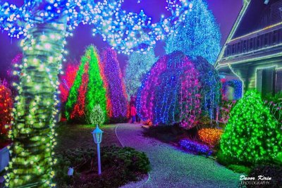 Na "Vánoční pohádce" v rodinné usedlosti Salaj svítí miliony žárovek